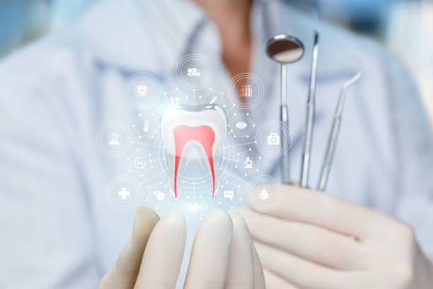 Dental X-Rays and Imaging in Seneca Knolls, NY